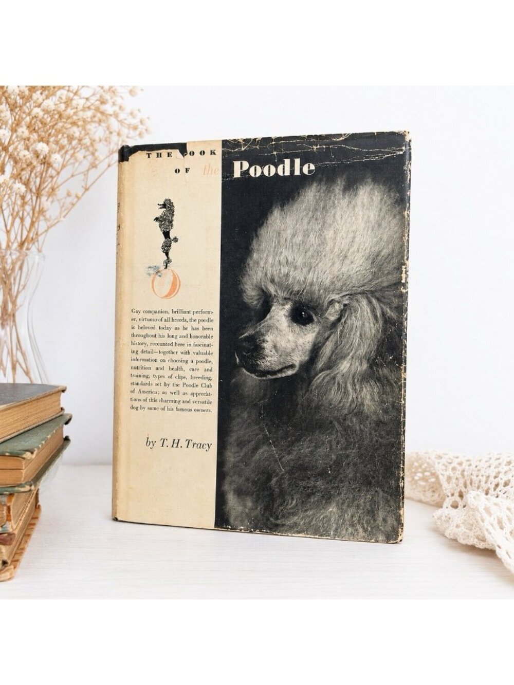 The Book of the Poodle By T.H. Tracy Dog Photos Viking Press USA New York